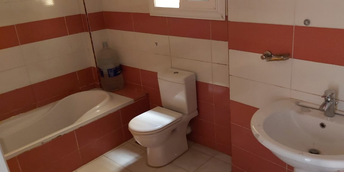 N Teseen Area,New Cairo,Cairo,Egypt,4 Bedrooms Bedrooms,3 BathroomsBathrooms,Apartment,N Teseen Area,2,1010