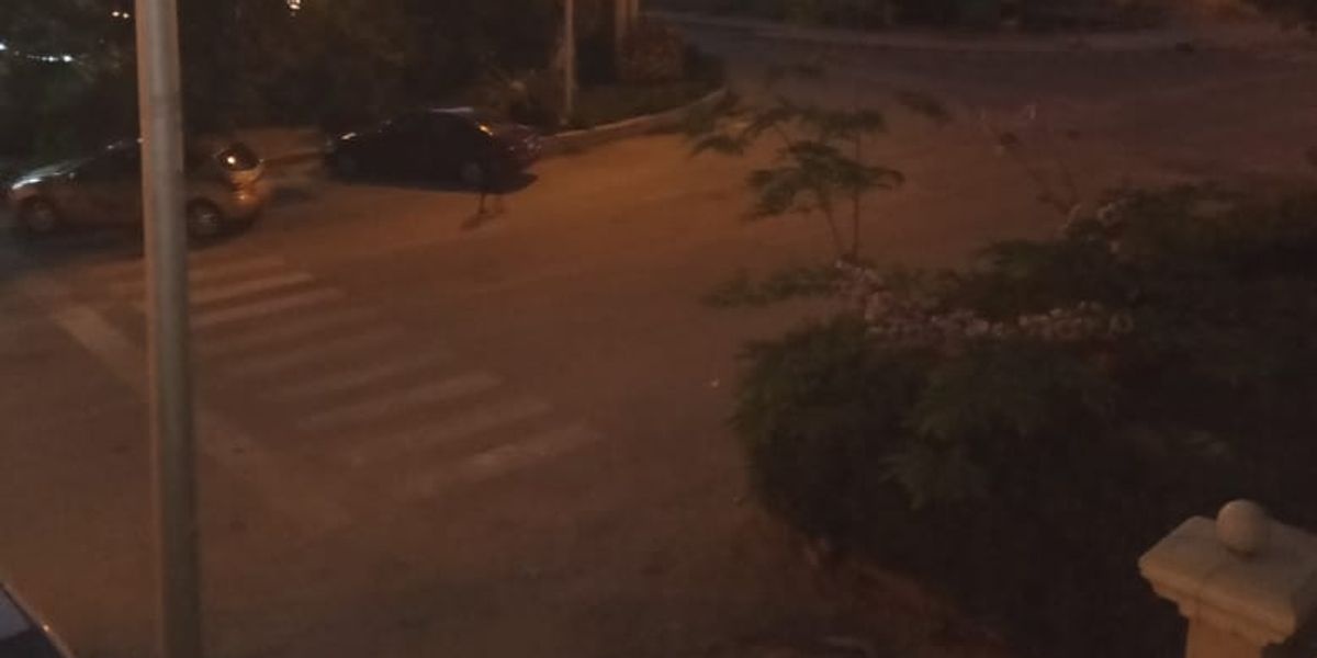 South Academy,New Cairo,Cairo,Egypt,3 Bedrooms Bedrooms,2 BathroomsBathrooms,Apartment,South Academy,1017